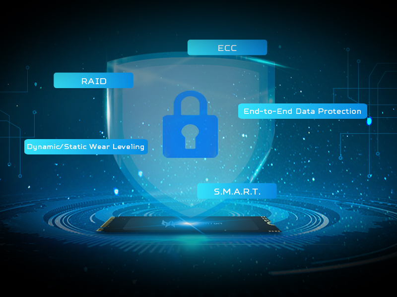 GM3500 SSD supports end-to-end data protection, dynamic/static wear leveling, 2K LDPC error correction code and S.M.A.R.T. 