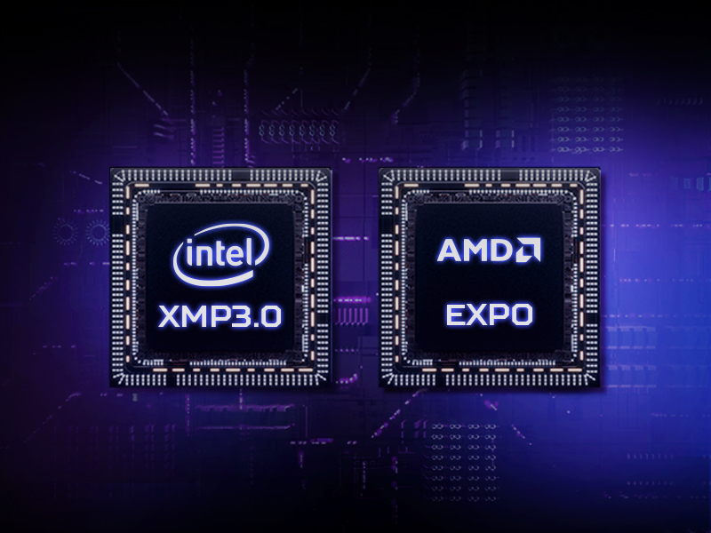 Acer Predator Hermes DDR5 RAM 8000 MHz