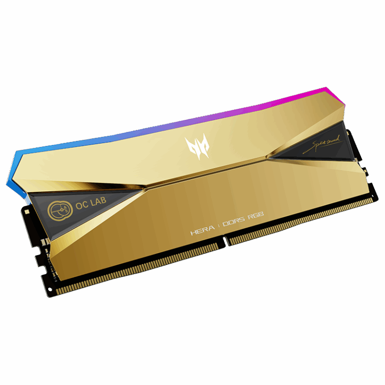 Predator Gold Edition Hera 192 GB RAM Kit (48 GB x 4)